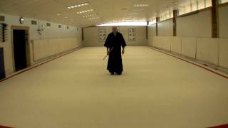 1. Sage Jo, Tsune no Kamae, Honte no Kamae, Gyakute no Kamae