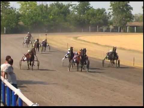 VIII Petrovdanska trka - Srbobran 2012.