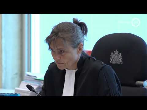 18 jaar celstraf geëist voor 'hamermoord'