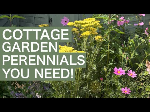 Essential Cottage Garden Plants & Perennial Flowers!