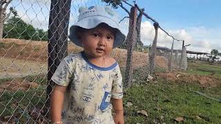 สั่งของออนไลน์ให้ น้องหลีดกับแฟน พาธันวาน้อยเลี้ยงวัว