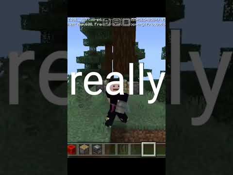Real or Fake? Mr Ghost Haunts Minecraft!