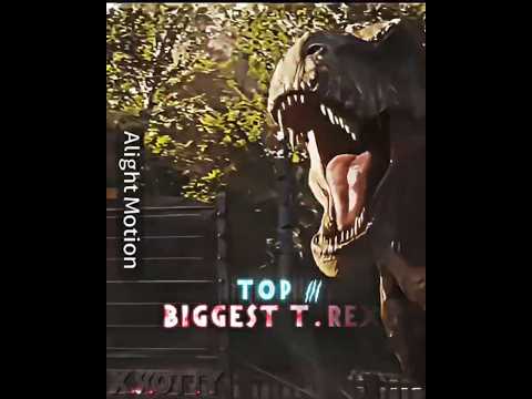 Top 3 biggest T.Rex