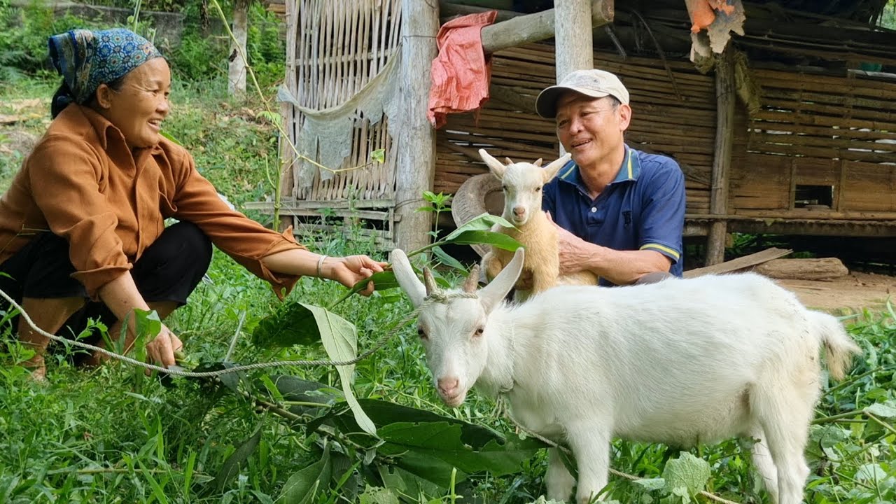 With more jobs available, Ms. Lien and Mr. Vinh are filled with hope for the future.
