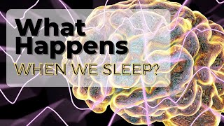What Happens When You Sleep?