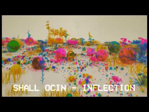 Shall Ocin - Inflection (Clash Lion 010)