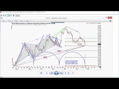 January 30th Trade What You See with Larry Pesavento on TFNN - 2017