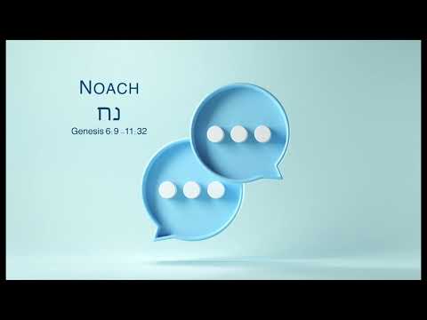 Parsing the Portion - Noach