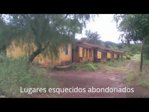 Todas as fazendas da região do interior de São Paulo São Manuel e Areiópolis.