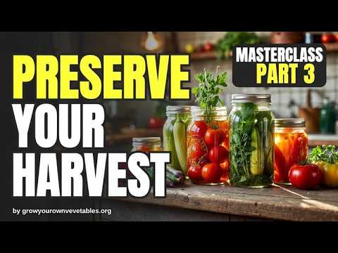 Stop Wasting 40% of Your Groceries: The Weekly Food Preservation System That Saves Money