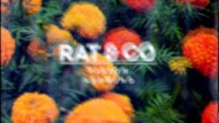 Rat & Co - Vision