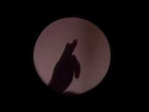 Schattenspiele mit den Händen + interesse + NEW/2018