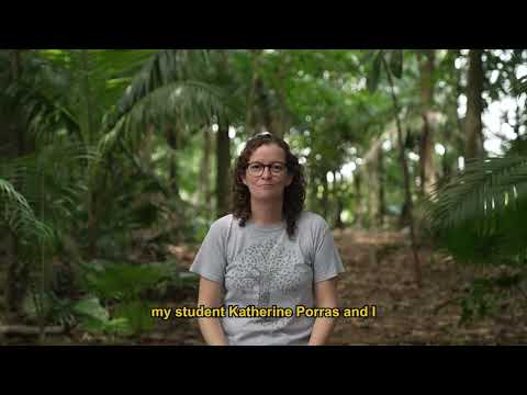 Leafcutter Ants Have Blind Spots, Just Like Truck Drivers | Smithsonian Voices | Smithsonian Tropical Research Institute Smithsonian Magazine