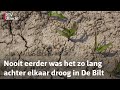 Nieuw droogterecord: al 33 dagen geen regen, moeten we ons zorgen maken? | RTV Utrecht