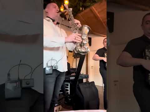 MOMACKO VECE KOD RADETA ZARICA / GORAN TODOROVIC / JOCA KING / JOVAN VRABAC / MILAN STRASNI