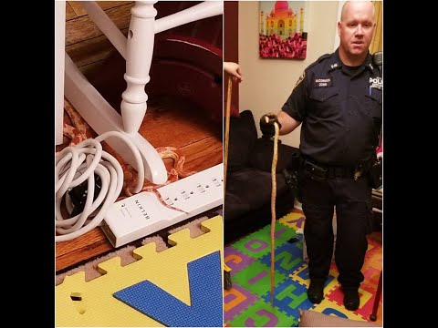 92.3 AMP DJ Jay Dabhi Finds A Snake In His Living Room