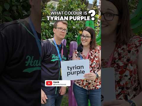 What Colour is This? Ft. @hankschannel @TierZoo ​@littleremyfood @EvanAndKatelyn