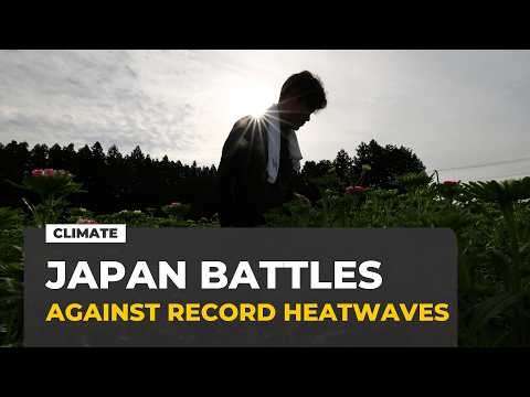 Japan battles extreme heat with night shifts and human fridges