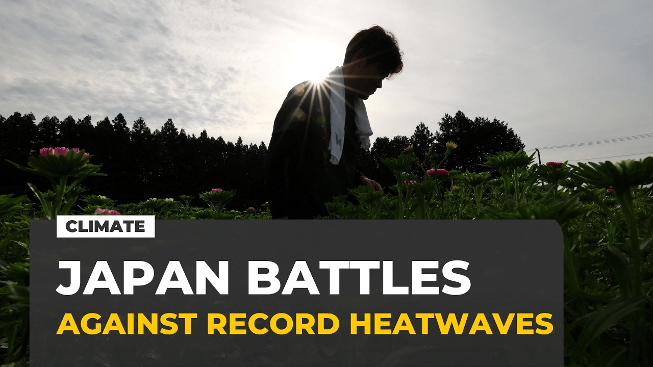 Japan battles extreme heat with night shifts and human fridges