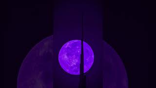 Download lagu Harleys In Hawaii - Katy Perry | you and I | lyrics | aesthetic | whatsapp Status | English songs ❤️ mp3 Download lagu Harleys In Hawaii - Katy Perry | you and I | lyrics | aesthetic | whatsapp Status | English songs ❤️ mp3