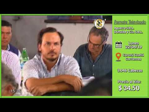22-04-19 - Venta de Vientres  - Remate Televisado de Aguerre & Duhalde - Corrientes