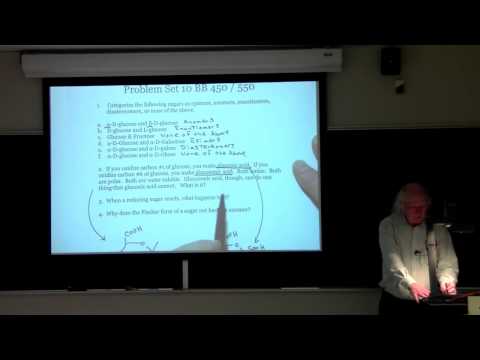 Problem Set 10 for Kevin Ahern's BB 450/550 at Oregon State University