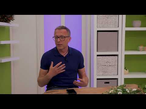 ANSAMBEL ZADETEK- premiera spota CI ČISTO ZNORELA