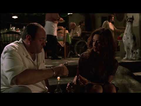 Tony Stays For Dinner With Annalisa And Her Family! #thesopranos #tonysoprano #tvshow #italy#italia