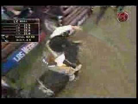 Ben Jones Vs. Cat Man Do