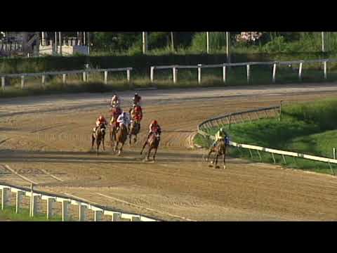 Race 8 ARC Day 13 2021 - The Flag Start