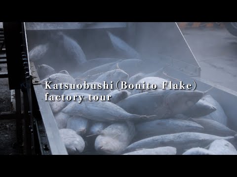【Ibusuki City】Katsuobushi〈Bonito Flake〉 factory tour（鰹節工場見学）