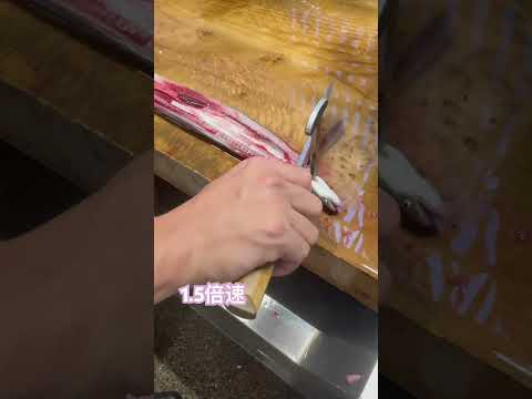 #Japanese eel craftsman in training鰻職人修行1.5倍速#craftman #捌く #fish #cooking#鰻 #捌く#cuttingskills #eel