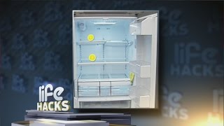 Get rid of tough refrigerator odors