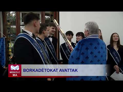 Videó előnézet