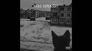 T-LINE - NIEKO ASMENIŠKO (ft.UNCLEG)