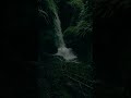 Kho Kar Tujhko Jee Na Paunga Aesthetic Video Status Slowed Reverb Shorts