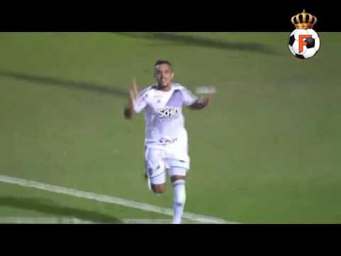 GOLS Ponte Preta 2 x 0 Botafogo BRASILEIRÃO SÉRIE A 2016 04/08/2016