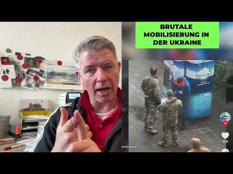 War, who should go? Is politics a role model? Are we doing enough for peace?