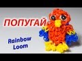ПОПУГАЙ из резинок Rainbow Loom Bands. Урок 148 | Parrot charm ...