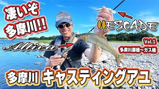 Altiva / アルティバ |PALMS | 株式会社パームス Altiva / アルティバ |PALMS | 株式会社パームス
