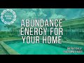 Empower Your Home with Prosperity and Abundance / Energetically Programmed Audio / Maitreya Reiki™