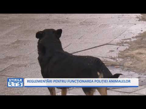 , title : 'REGLEMENTĂRI PENTRU FUNCȚIONAREA POLIȚIEI ANIMALELOR'