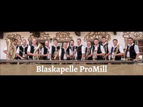 Blaskapelle Pro-Mill / Clara (Polka)