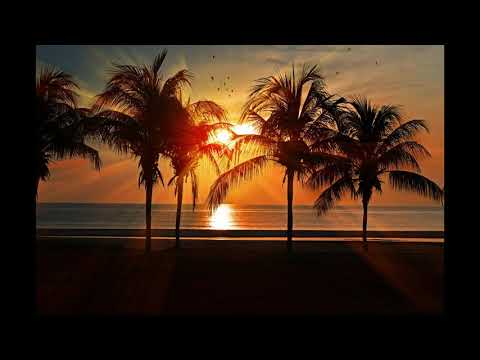 FREE Tyga x YG Type Beat 2020 ''Freaky''