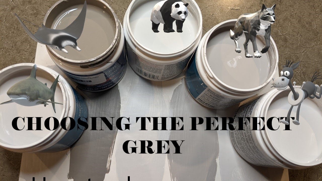 Watch video How to choose the PERFECT GREY Wall Paint - Flannel Grey MY GLAM LAUNDRY ROOM SERIES Now How to choose the PERFECT GREY Wall Paint - Flannel Grey MY GLAM LAUNDRY ROOM SERIES