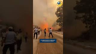 Սիրիայում 4-րդ օրն է չի հաջողվում մարել անտառային լայնածավալ հրդեհները։