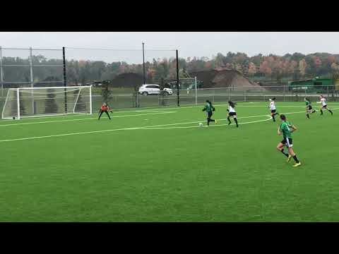 2019- 2020 Soccer Goalkeeper Highlight Video ~Alison Van Schaik