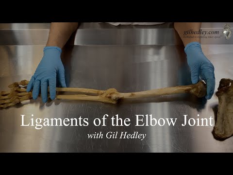 Ligaments of the Elbow Joint: Learn Integral Anatomy with Gil Hedley