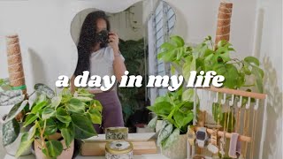 What a normal day in my life looks like! Plant errands, gym, and boxing *don’t judge me plz*