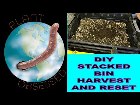 DIY STACKED BIN HARVEST AND RESET